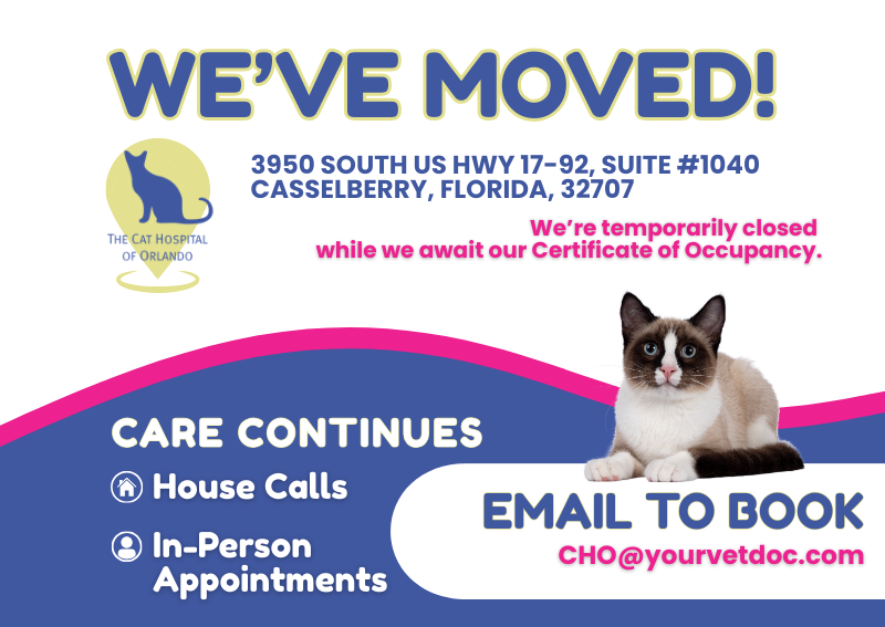 Carousel Slide 1: Learn More >>